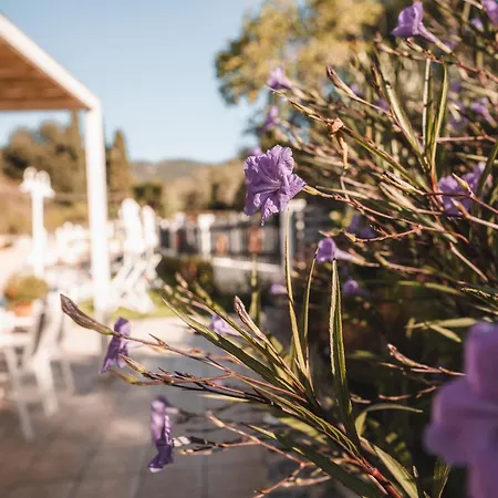 Dominoes Corfu Апарт-отель 4*