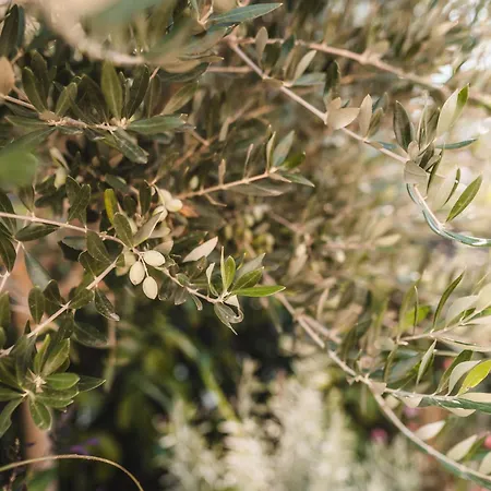 Dominoes Corfu Апарт-отель Ипсос